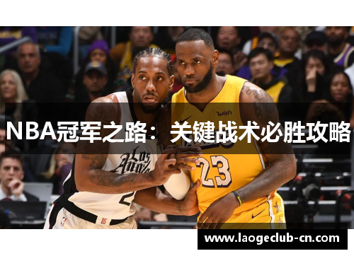 NBA冠军之路：关键战术必胜攻略