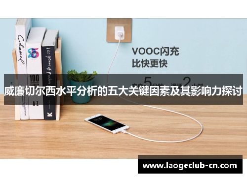 威廉切尔西水平分析的五大关键因素及其影响力探讨