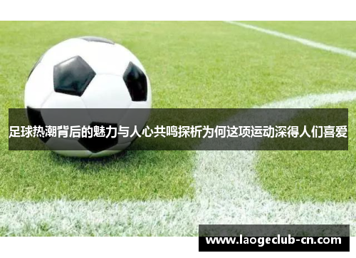 足球热潮背后的魅力与人心共鸣探析为何这项运动深得人们喜爱