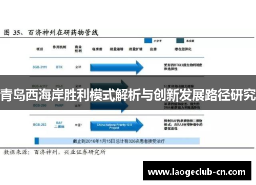 青岛西海岸胜利模式解析与创新发展路径研究