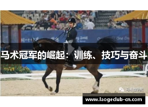 马术冠军的崛起：训练、技巧与奋斗