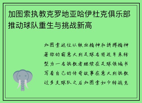 加图索执教克罗地亚哈伊杜克俱乐部推动球队重生与挑战新高