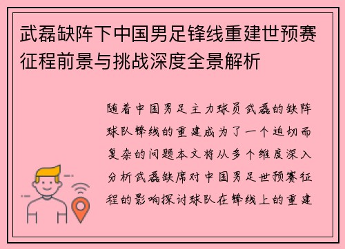 武磊缺阵下中国男足锋线重建世预赛征程前景与挑战深度全景解析