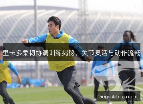 里卡多柔韧协调训练揭秘，关节灵活与动作流畅
